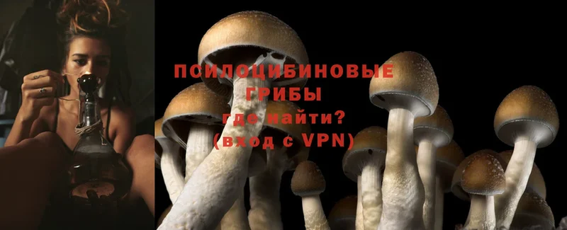 Галлюциногенные грибы Cubensis  Буинск 